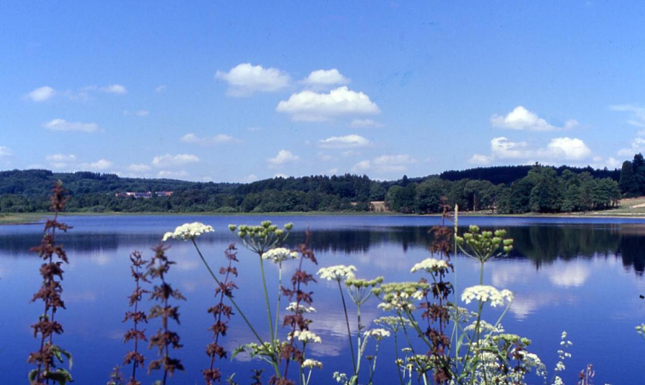 Le Relais Des Lacs Bourgogne Morvan Hotel Planchez Exterior foto